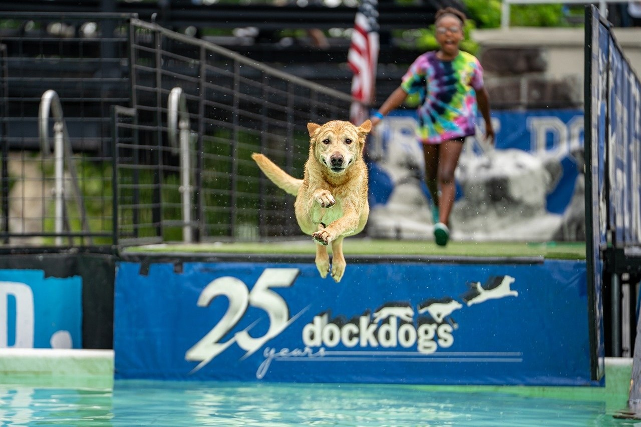Smiju li psi jesti corn nuts i jesu li sigurni?