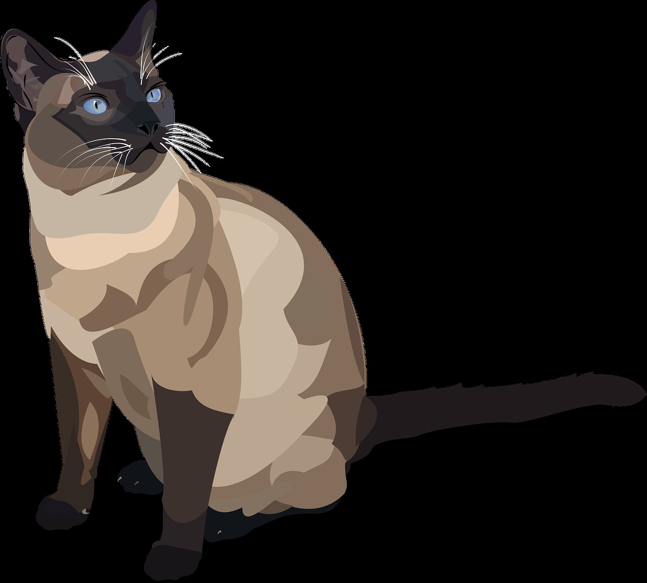 Smiju li psi piti čaj i je li štetan?