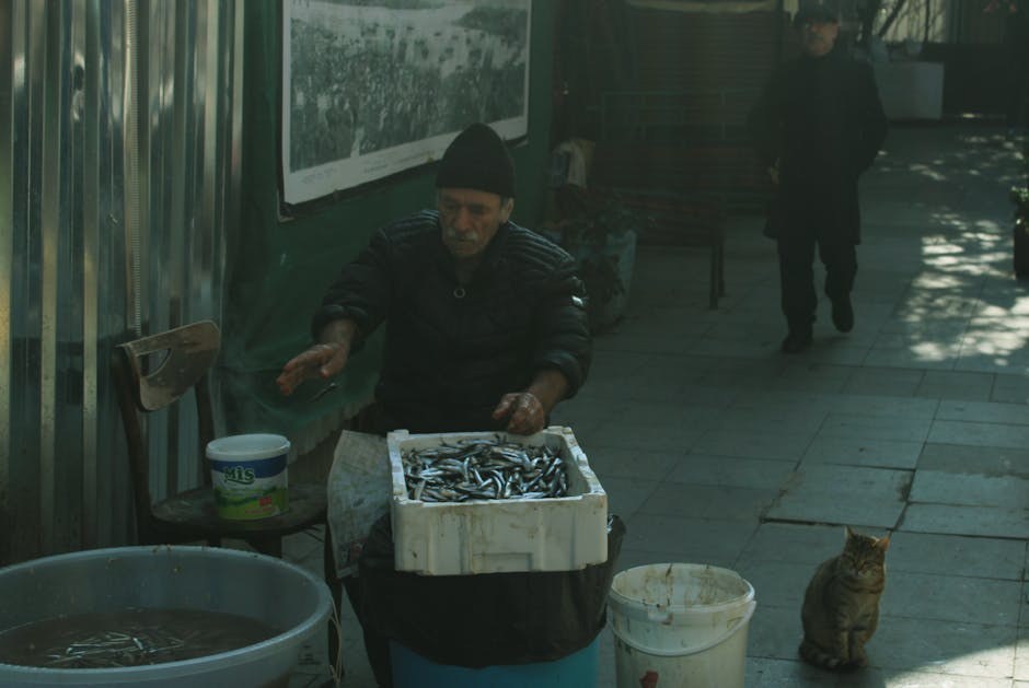 Akromatopsija u pasa ( day blindness ): simptomi, uzroci i liječenje