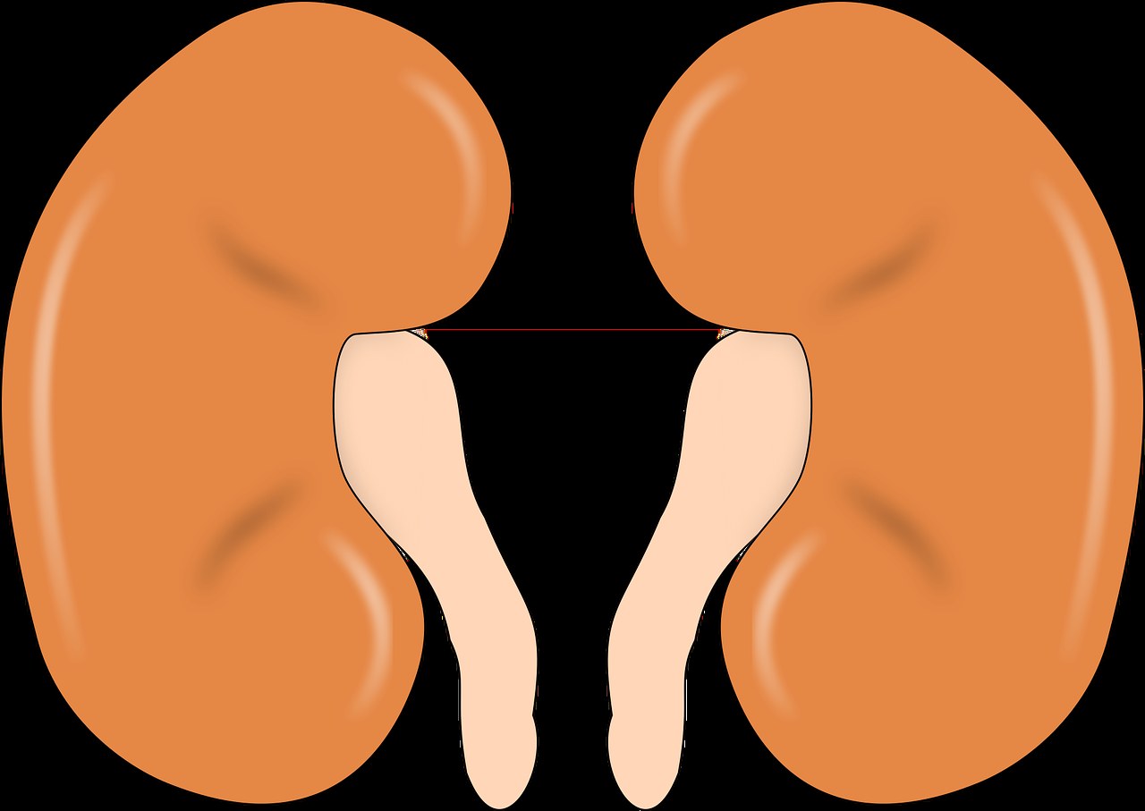Smiju li psi jesti halibut i je li siguran?