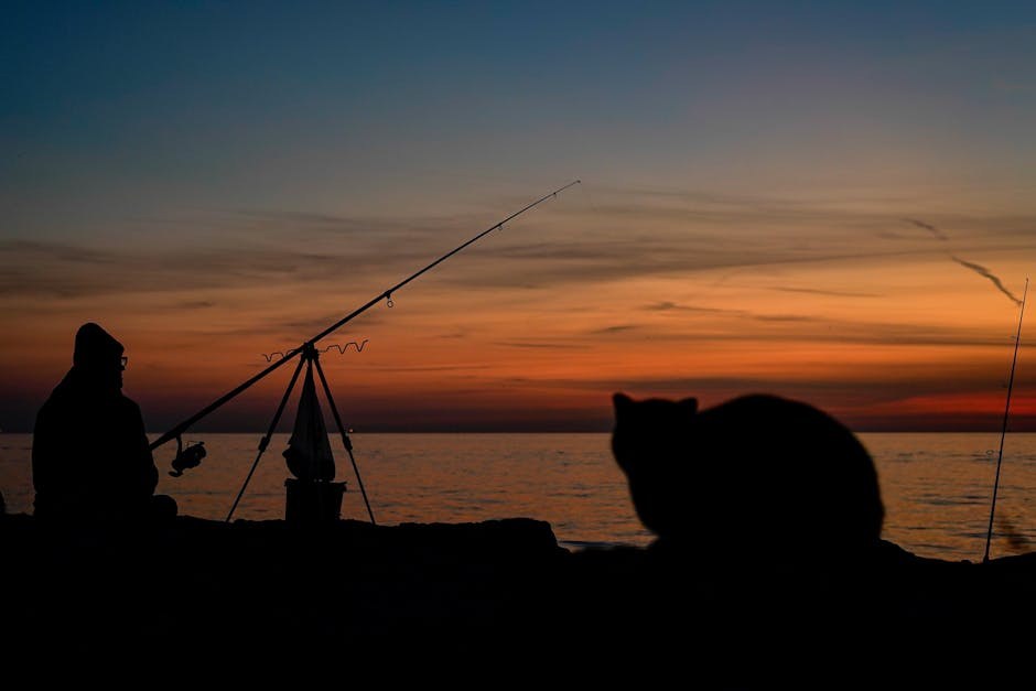 Hondrodistrofija CDDY kod pasa: simptomi, uzroci i liječenje