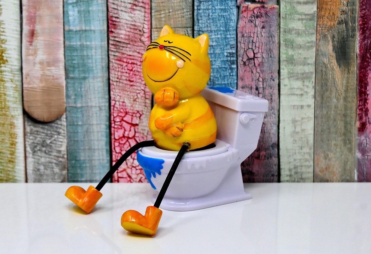 Smiju li psi jesti špageti tikvu i je li sigurna za pse?