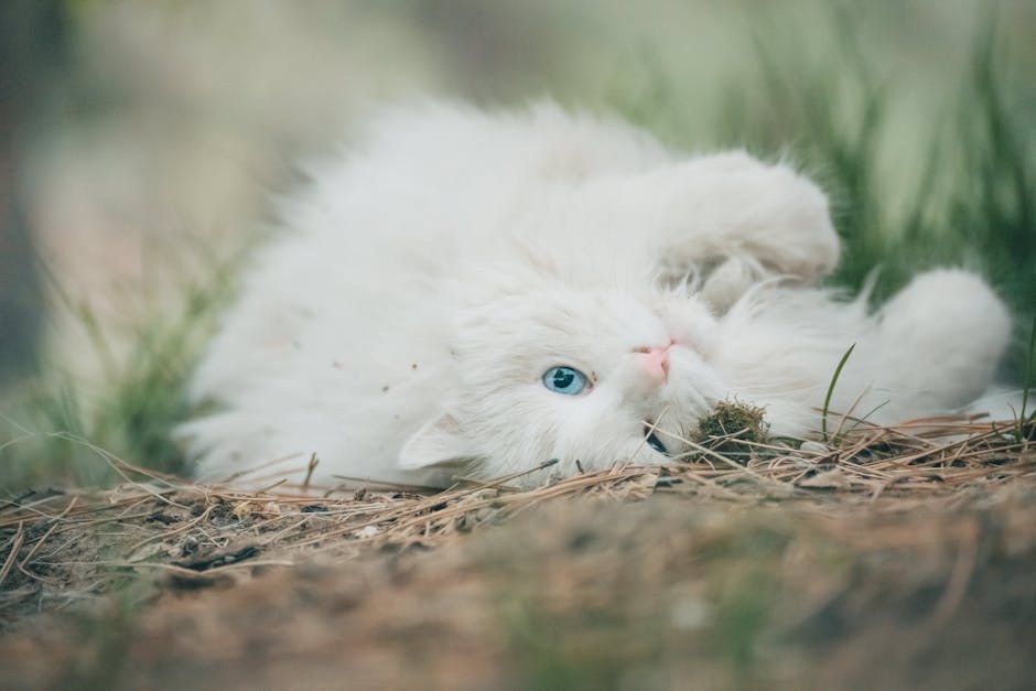 Najzdravije male pasmine pasa