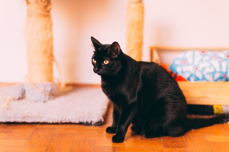 Nom Nom hrana za pse: Je li marka povukla proizvod u 2024. godini?