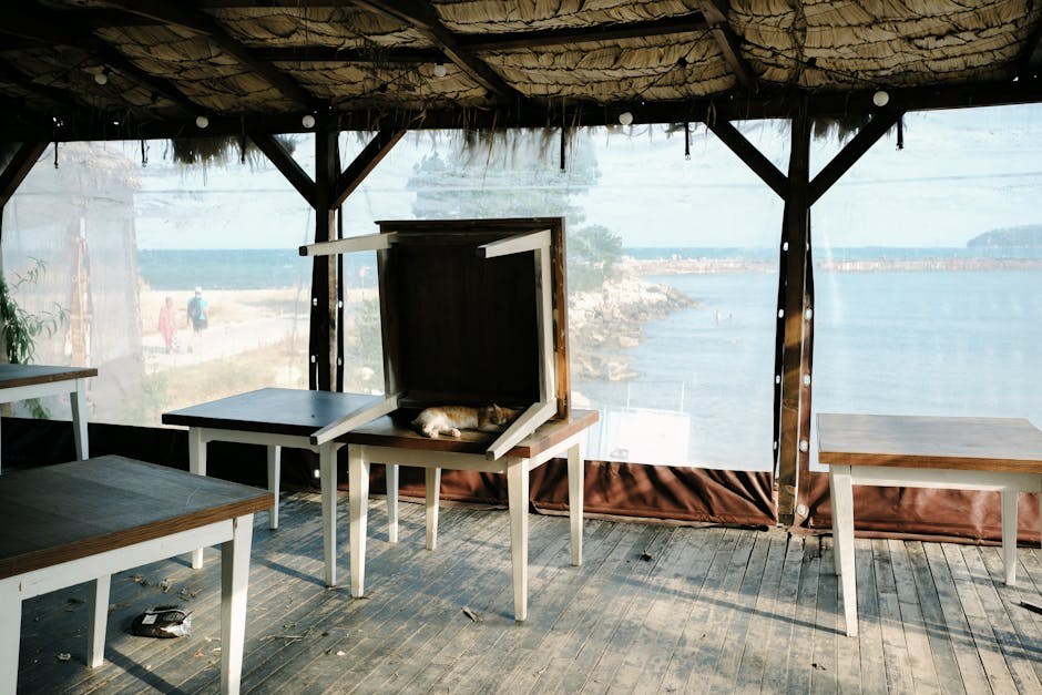 Difuzna idiopatska skeletna hiperostoza (DISH) kod pasa: simptomi, uzroci i liječenje