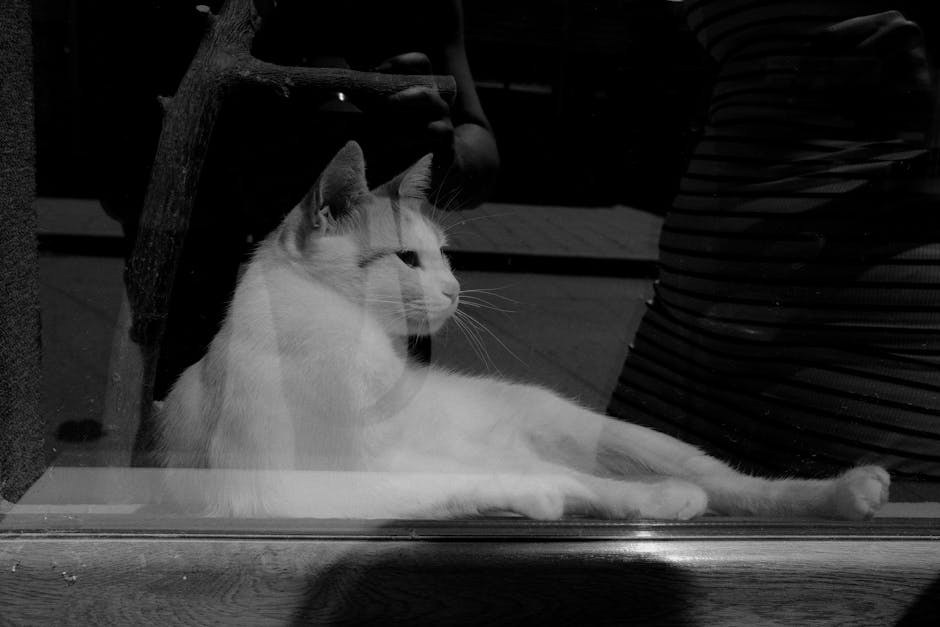 Difuzna idiopatska skeletna hiperostoza (DISH) kod pasa: simptomi, uzroci i liječenje