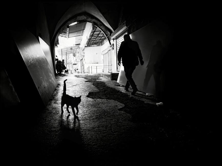 Suženje kralježničnog kanala u pasa: simptomi, uzroci i liječenje