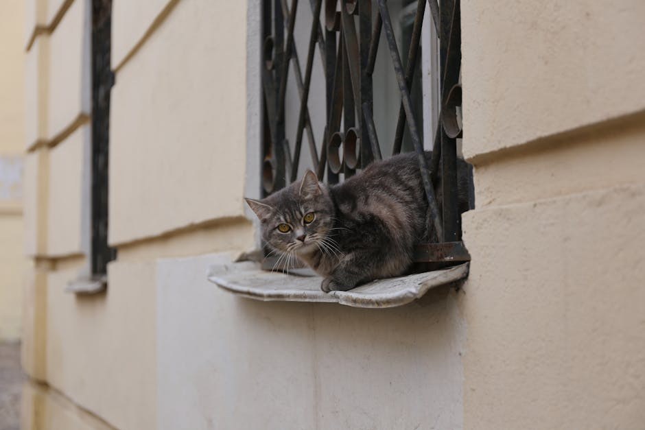 Upalna bolest kože kod pasa: simptomi, uzroci i liječenje