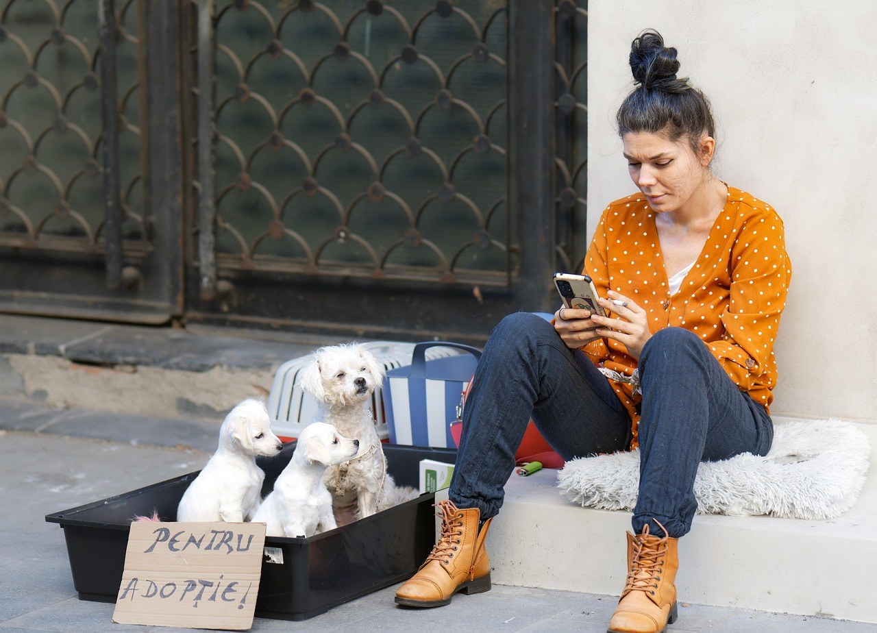 Kako psa naučiti da sigurno trči uz vas