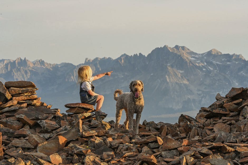 Imodium za pse: upotreba, doziranje i nuspojave