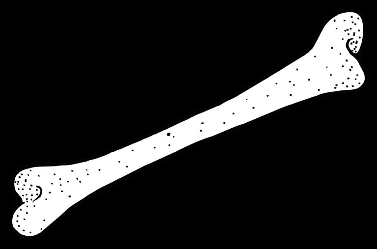 Limfom kod pasa: simptomi, uzroci i liječenje