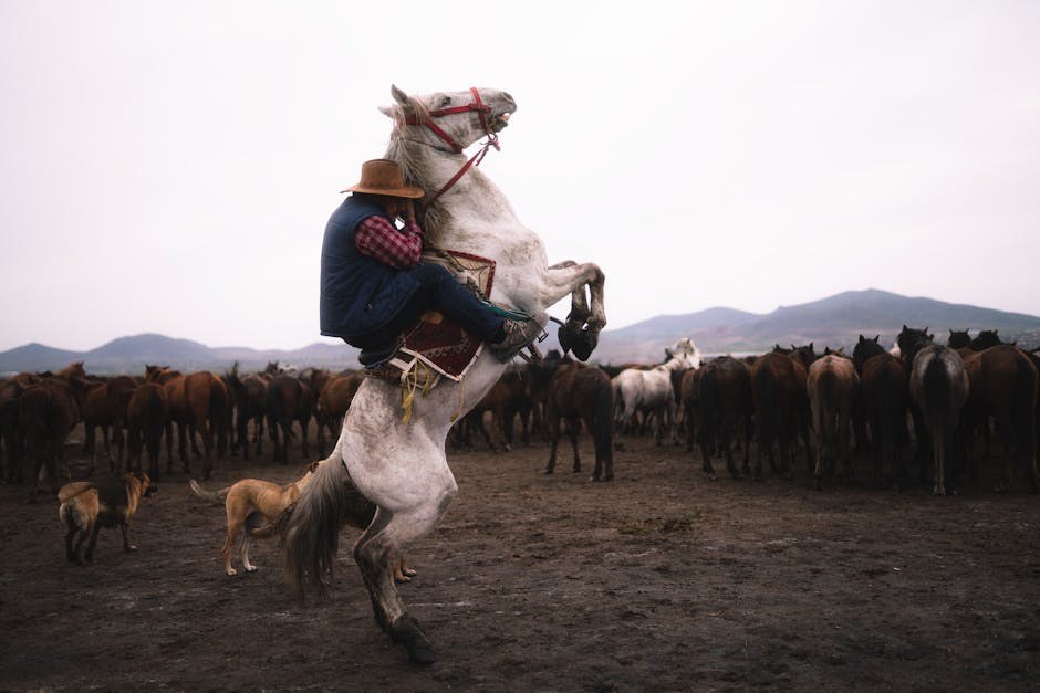 Lipomi (masne kvržice i tumori) kod pasa: simptomi, uzroci i liječenje