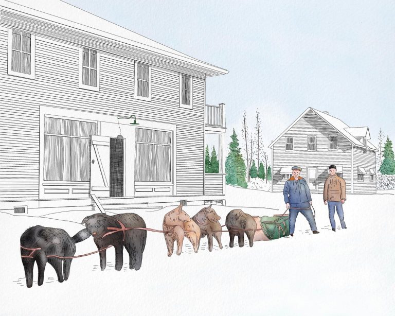 Stomatitis kod pasa: simptomi, uzroci i liječenje