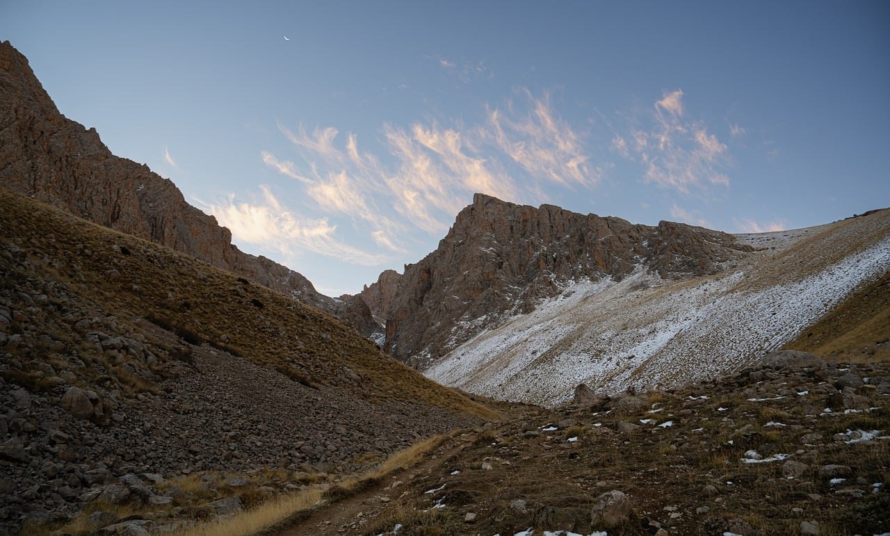 Najčešća pitanja o clicker trainingu za pse