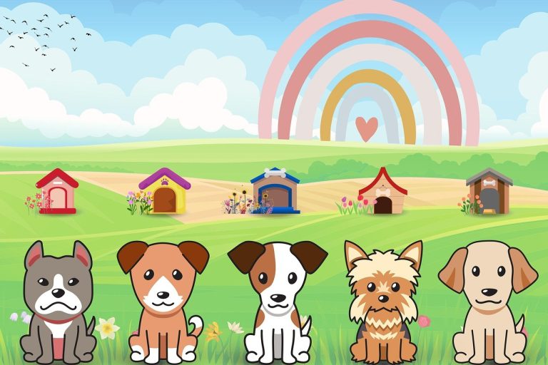 4 znaka dobrog trenera pasa