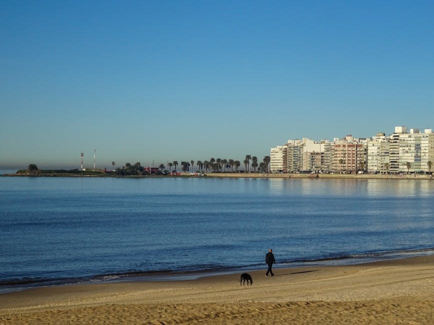 Smiju li psi jesti brusnice? Jesu li brusnice sigurne za pse?