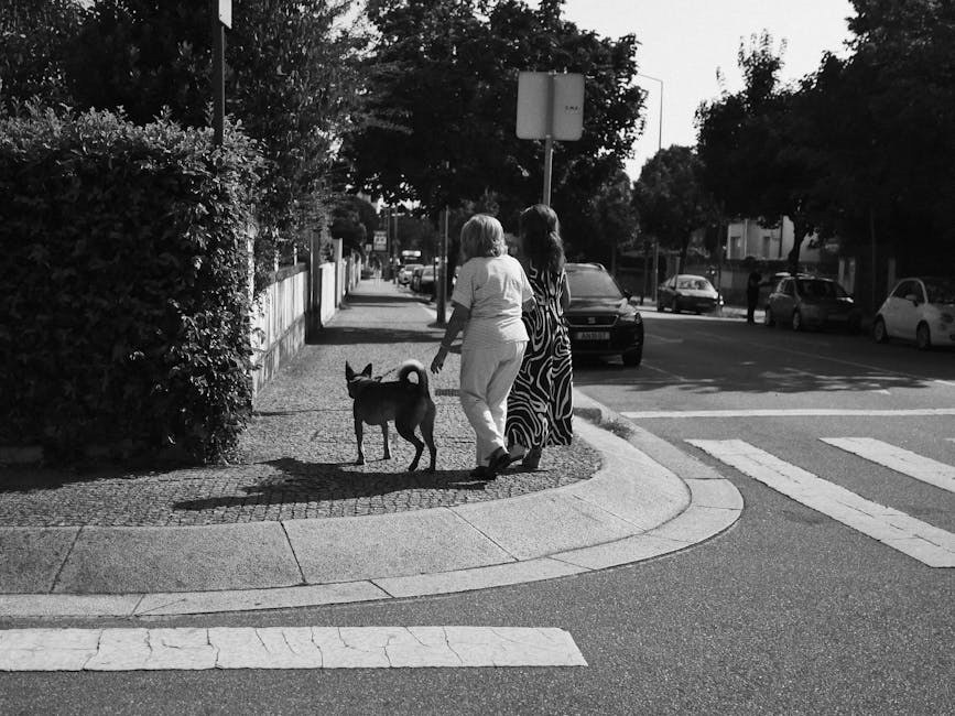 Smiju li psi jesti brusnice? Jesu li brusnice sigurne za pse?