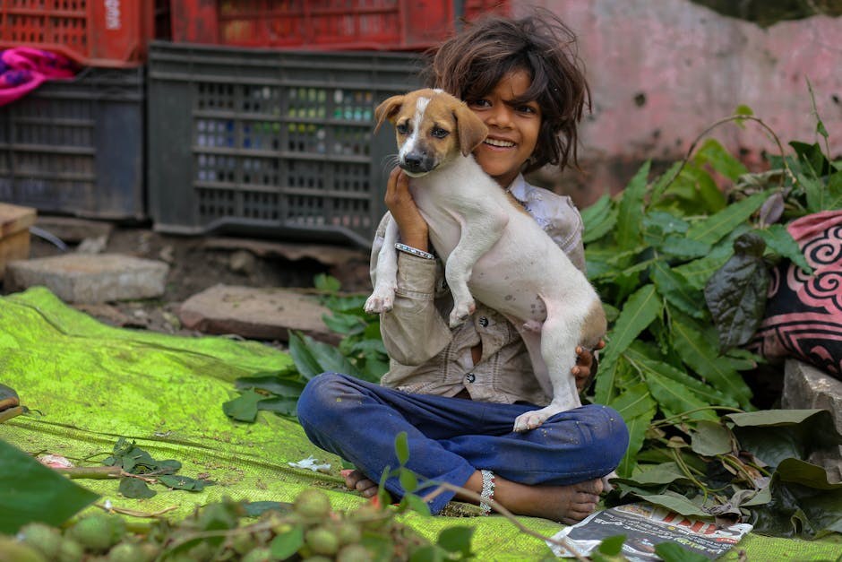 Što vam pasova rep govori