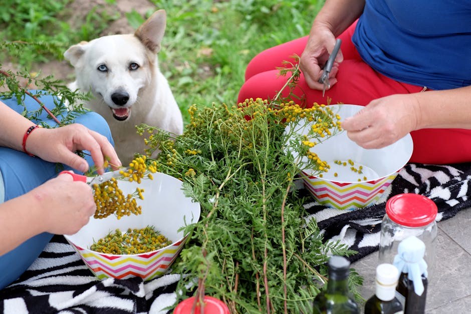 Što znači položaj ušiju psa