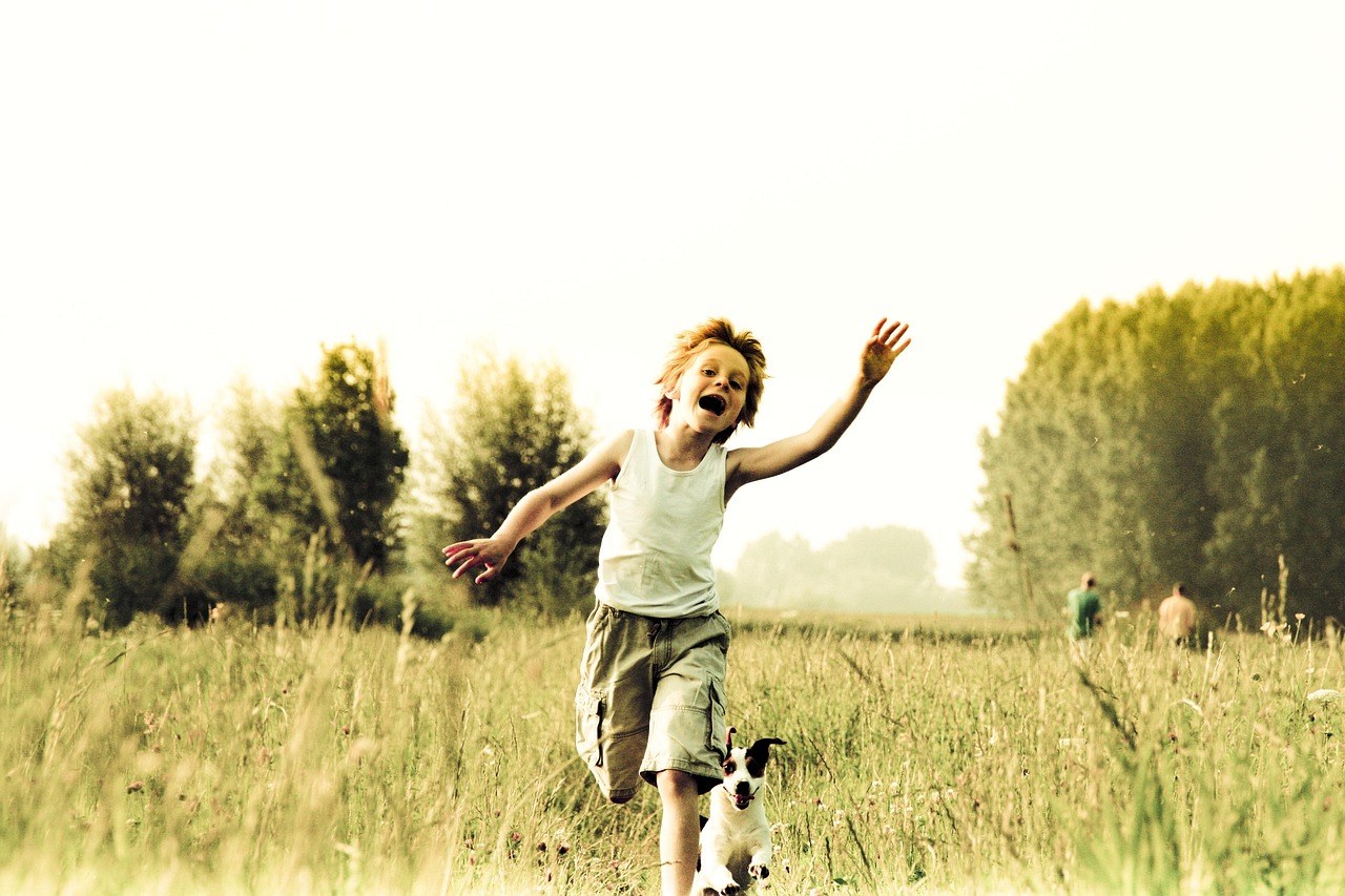 Potpuni vodič za odgoj vašeg šteneta