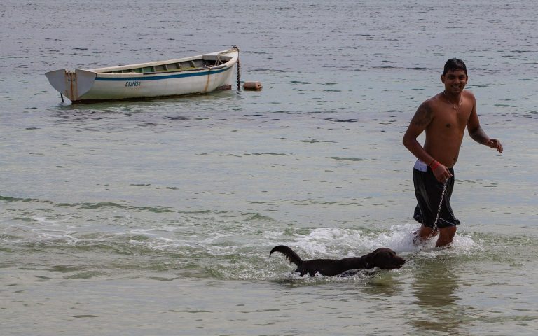 Adequan za pse: namjena, doziranje i nuspojave