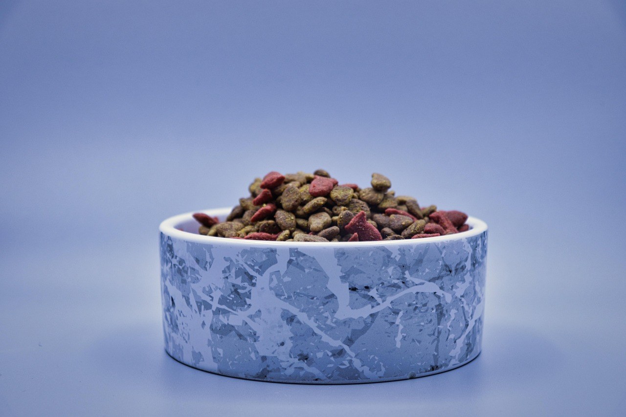 Sveobuhvatan vodič za hranu za pse i nutritivne potrebe