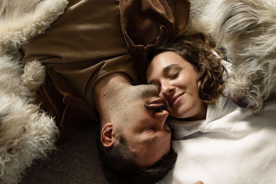 Melatonin za pse: primjena, doziranje i nuspojave