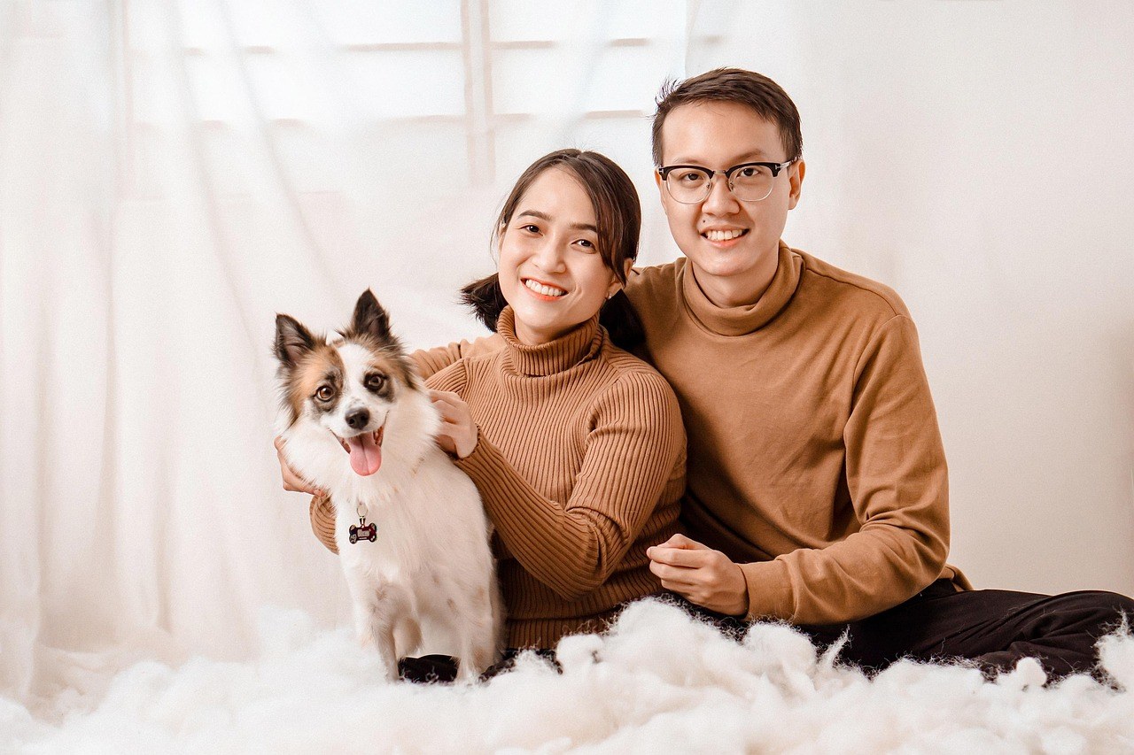 Melatonin za pse: primjena, doziranje i nuspojave