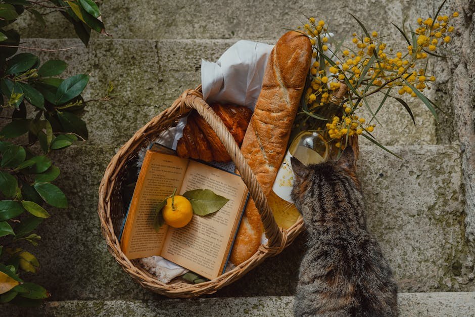 Postojane pupilarne membrane (PPM) kod pasa: simptomi, uzroci i tretmani