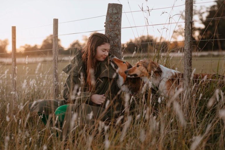 Xylazine za pse: upotreba, doza i nuspojave