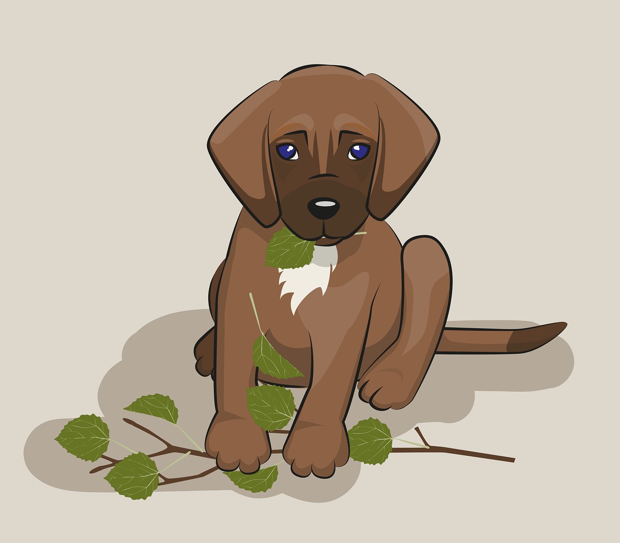 Kako ortopedski kreveti za pse pomažu kod artritisa i ublažavanja bolova u zglobovima