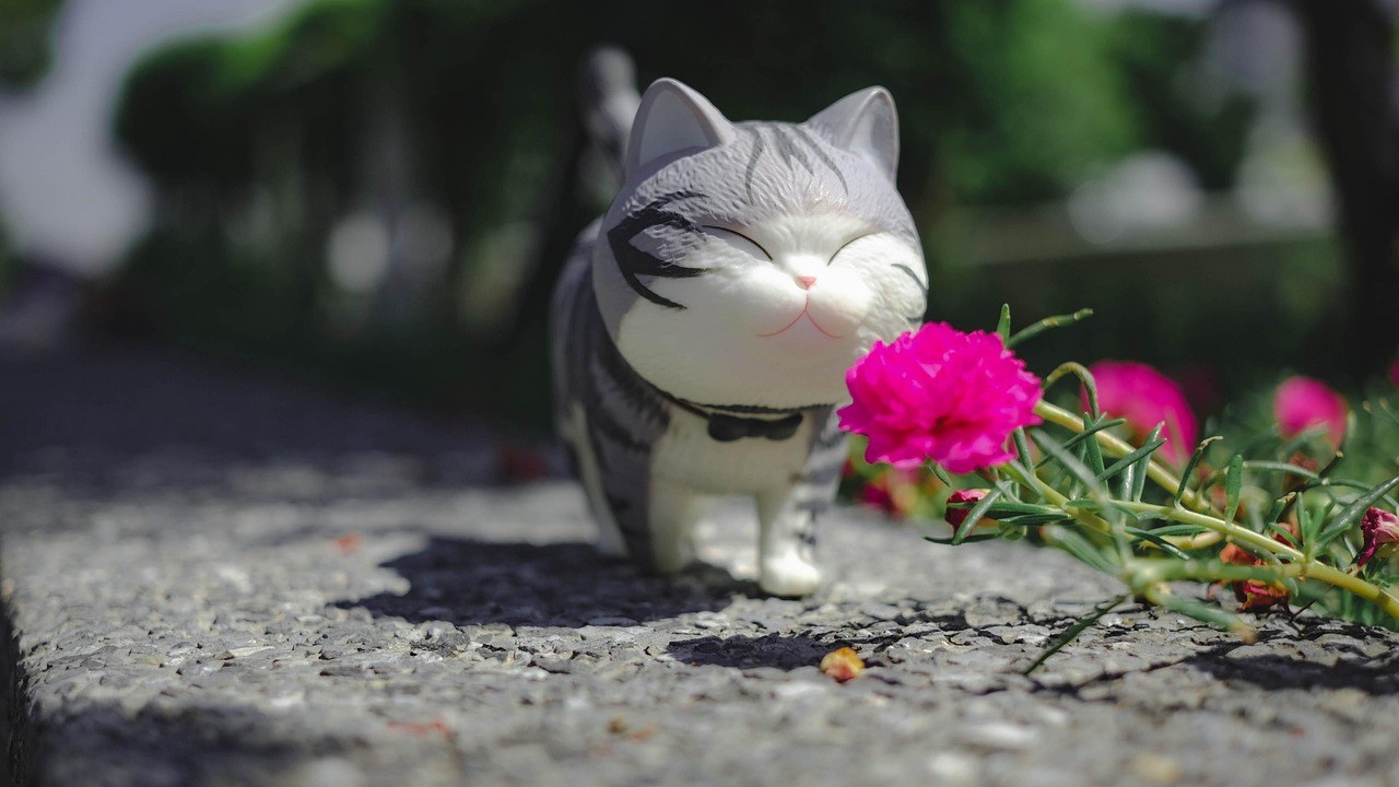 Smiju li psi piti milkshake i je li siguran za njih?