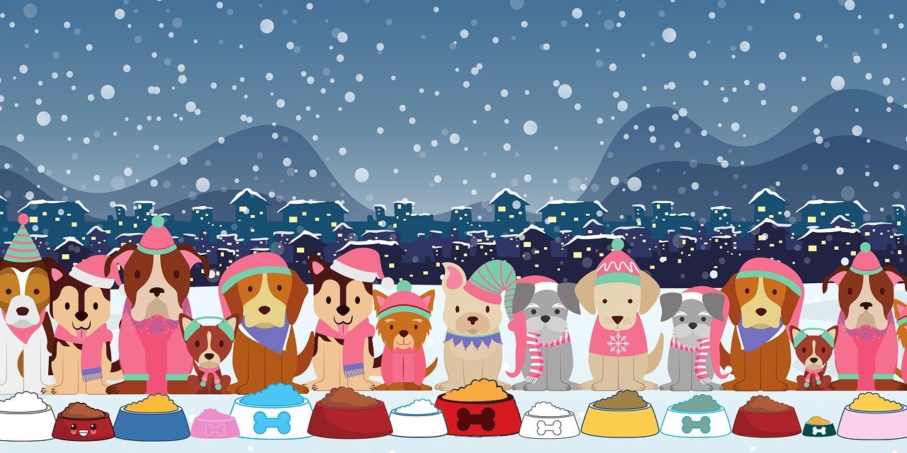 Kako zaštititi pse čuvare stoke na farmi