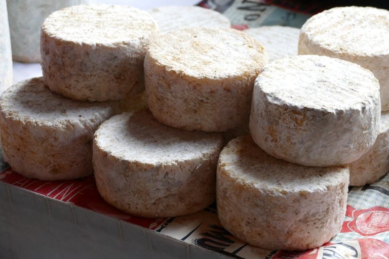 Smiju li psi jesti korijandar i je li siguran za pse?