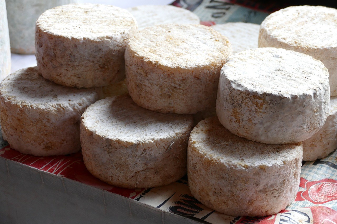 Smiju li psi jesti korijandar i je li siguran za pse?