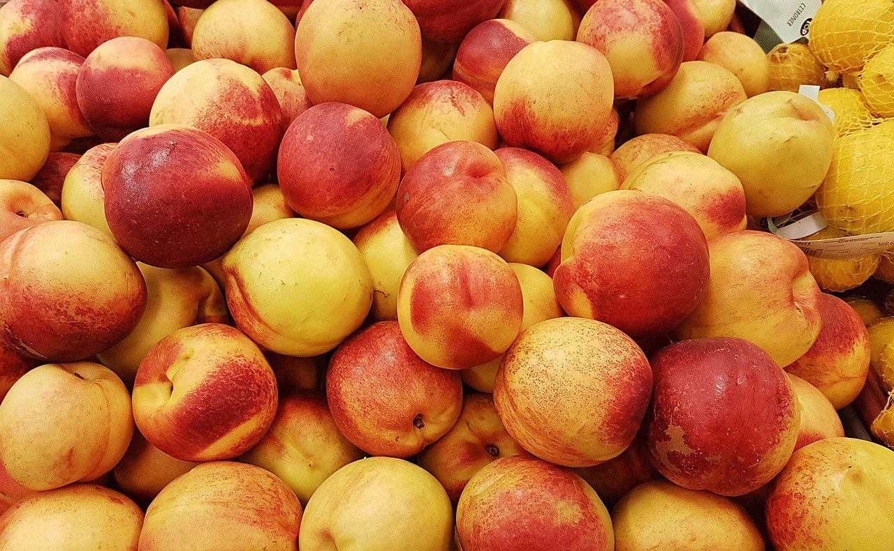 Smiju li psi jesti krumpirov čips - i je li siguran za njih?