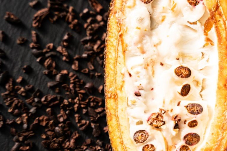 Episkleritis kod pasa: simptomi, uzroci i liječenje