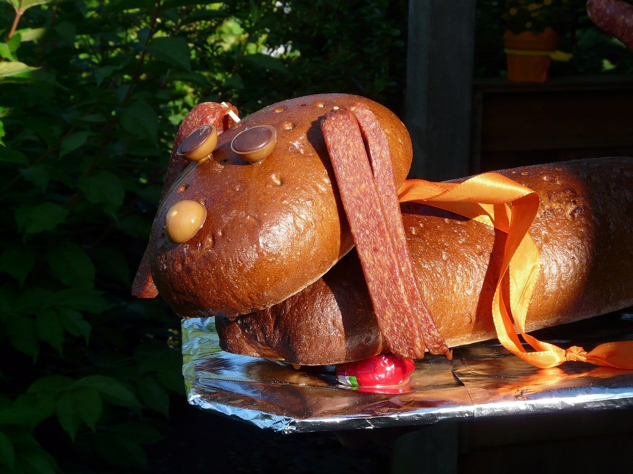 Smiju li psi piti gaziranu vodu i je li sigurna?