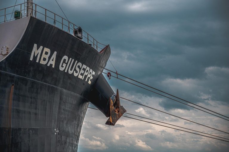 Smiju li psi jesti bazgine bobice i jesu li sigurne za pse?