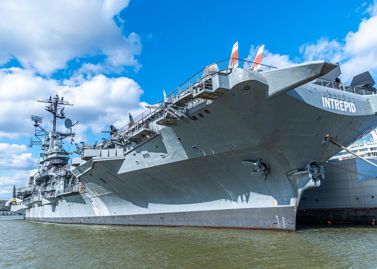 Smiju li psi jesti bazgine bobice i jesu li sigurne za pse?