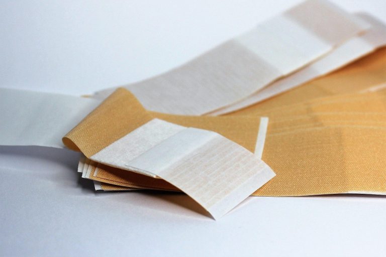 Smiju li psi jesti čerimoju i je li sigurna za pse?