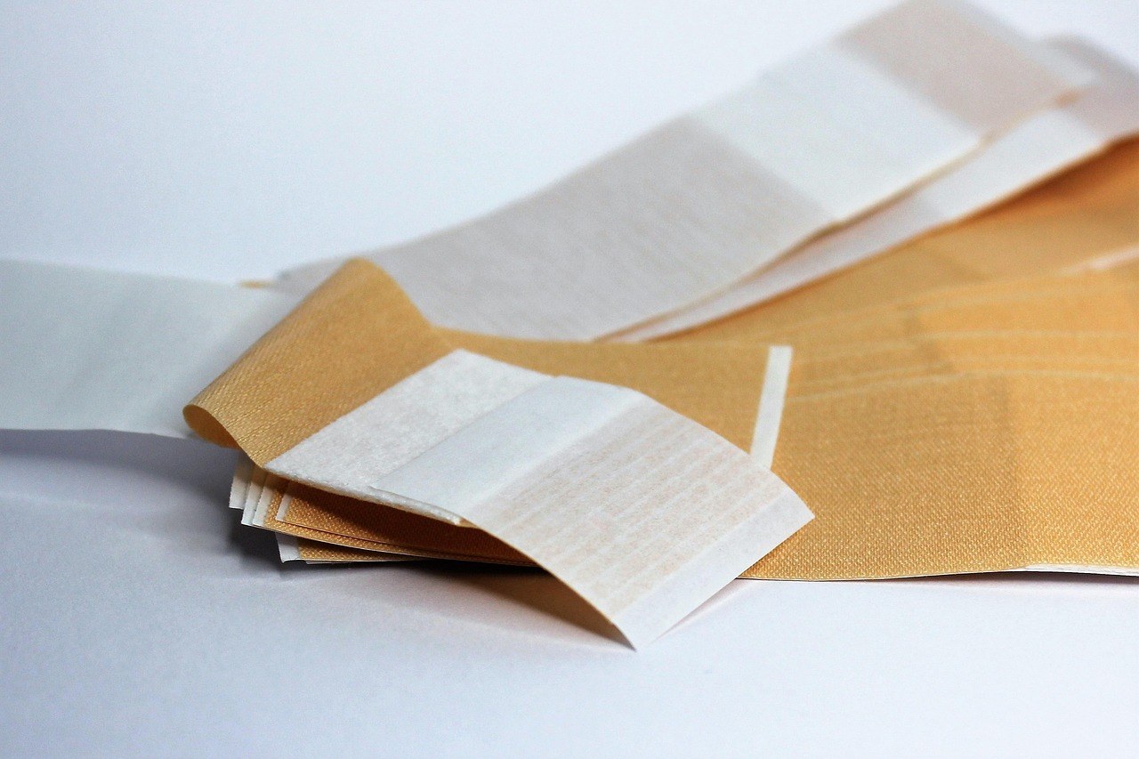 Smiju li psi jesti čerimoju i je li sigurna za pse?