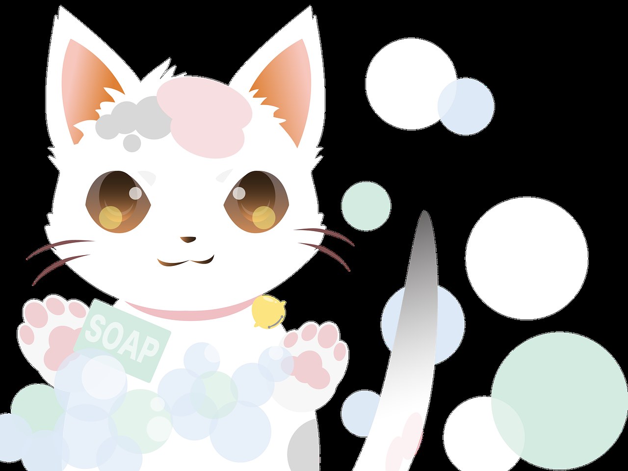 Smiju li psi jesti sapodilu? Vodič za sigurnu pripremu