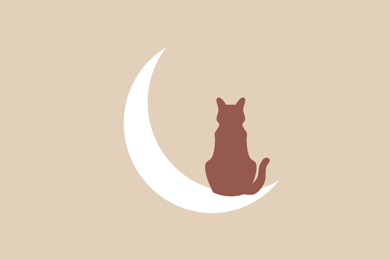 Smiju li psi jesti kozji sir - sigurnost i preporuke