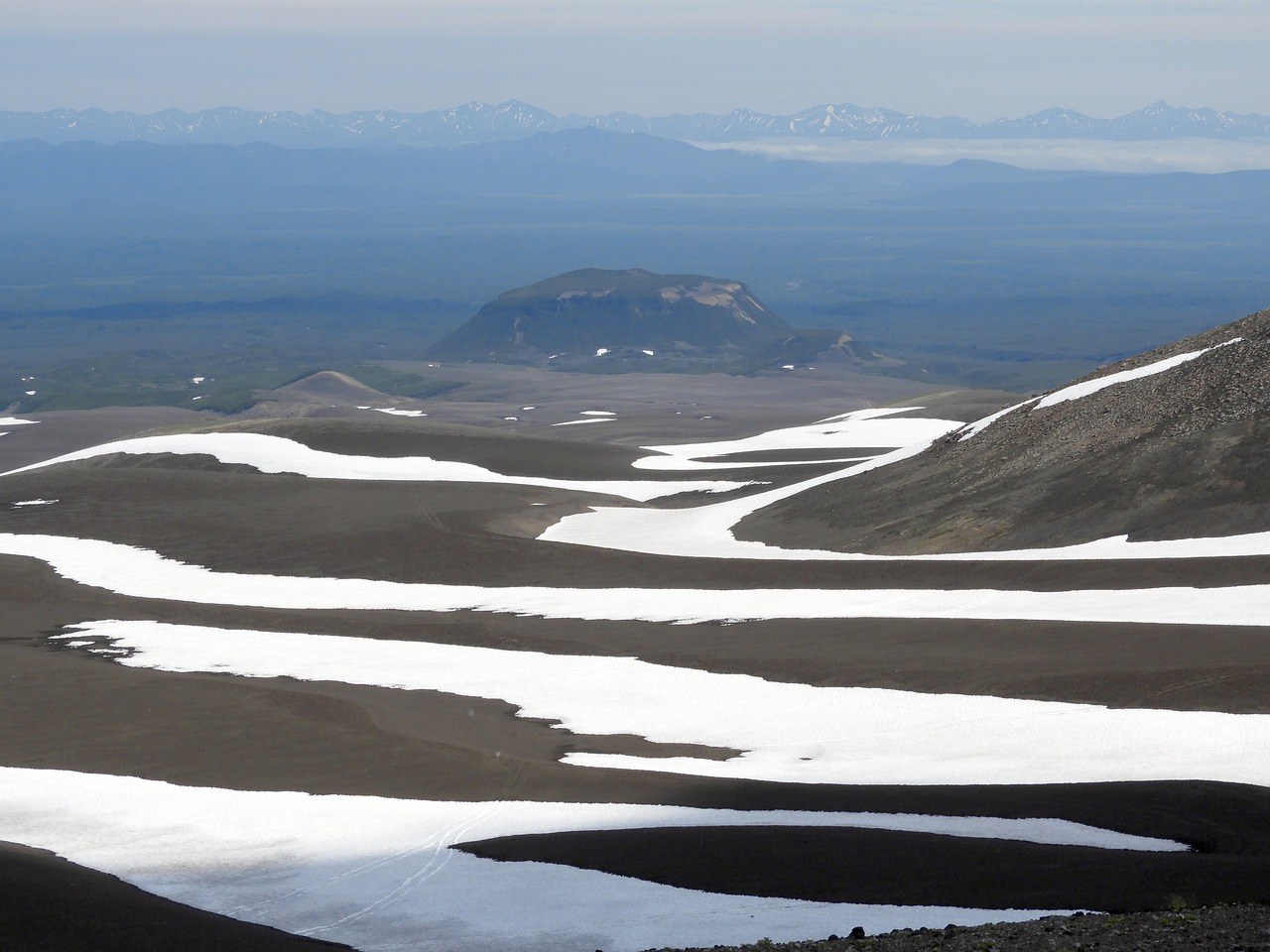 Jesu li murve sigurno voće za pse - smiju ih uopće jesti?