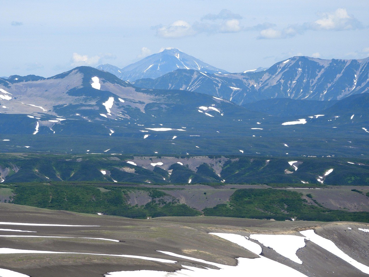 Jesu li murve sigurno voće za pse - smiju ih uopće jesti?