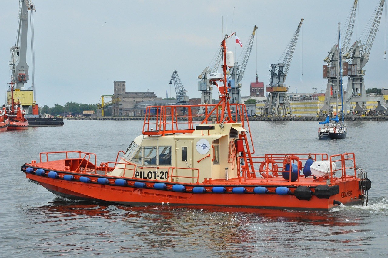 Smiju li psi jesti rajčice i jesu li sigurne za pse?