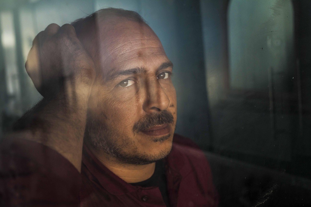 Hematomi kod pasa: simptomi, uzroci i liječenje