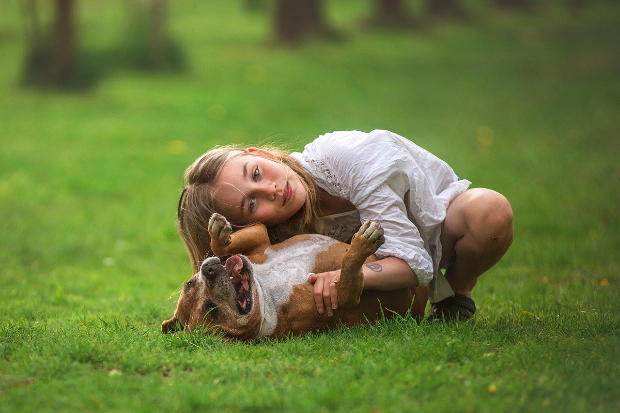 Tagamet (cimetidin) za pse: primjena, doziranje i nuspojave