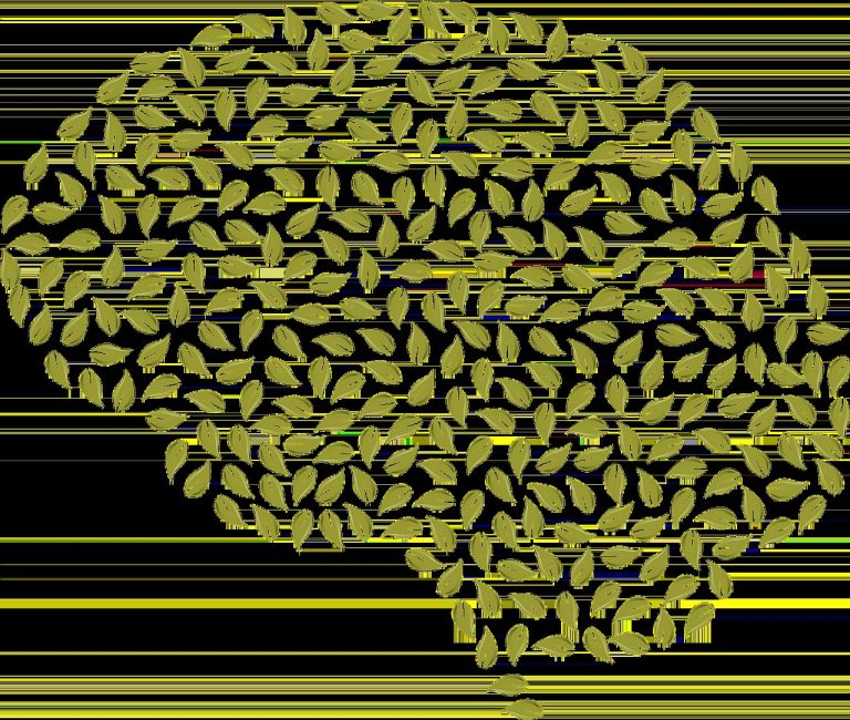 Poliurija kod pasa: simptomi, uzroci i liječenje
